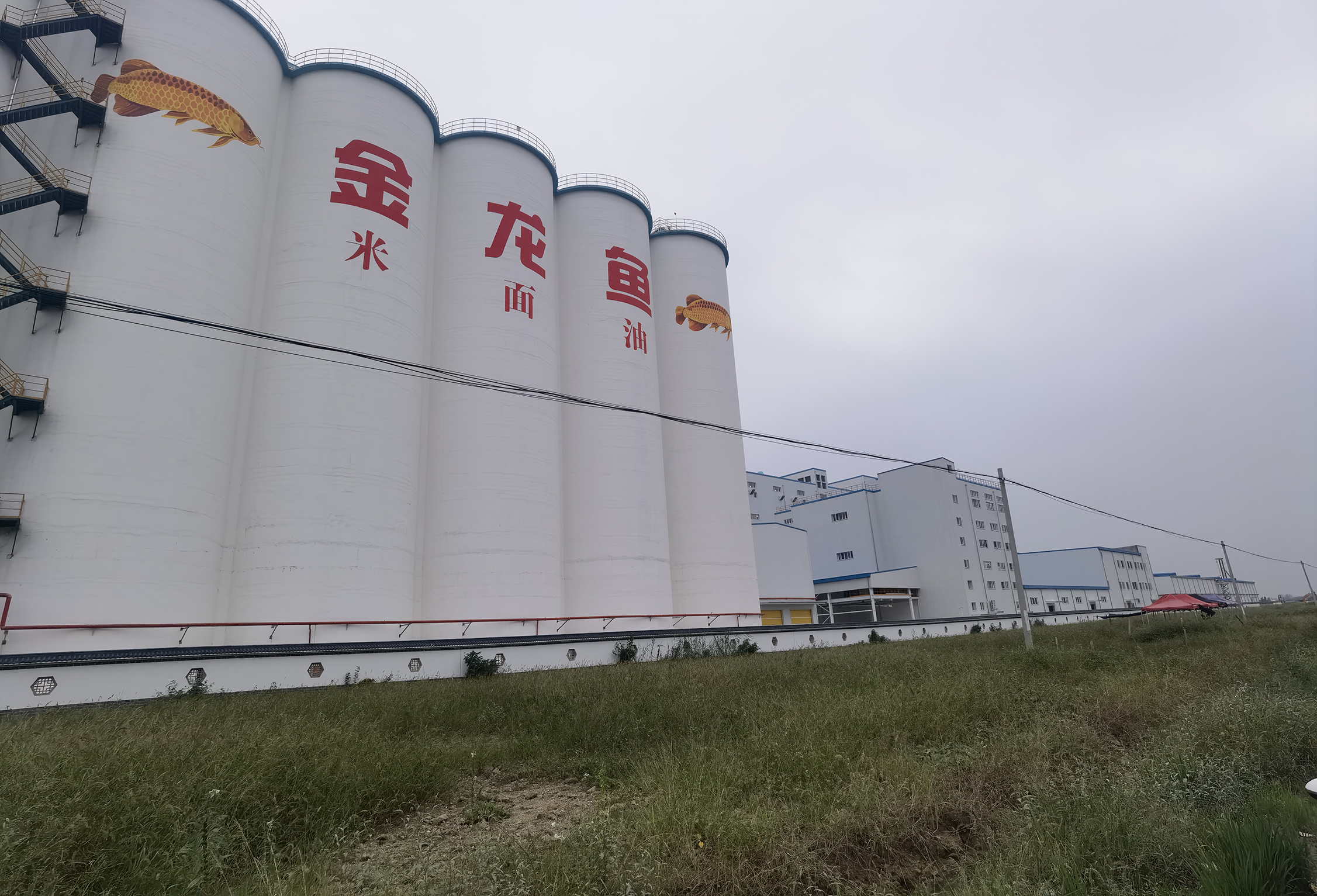 87eb42e4540b53e1cdfd72b50e5e0dd 87eb42e4540b53e1cdfd72b50e5e0dd